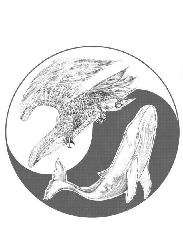 照片 05